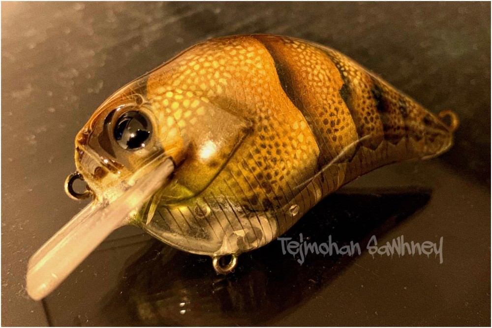 HS16 - Creature Features 1 - Mottled (1)