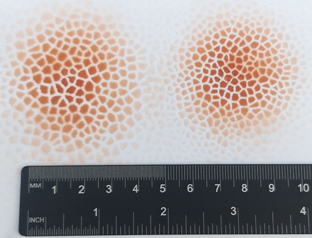 HS68 - Creature Features #16 - Bigger Giraffe Skin